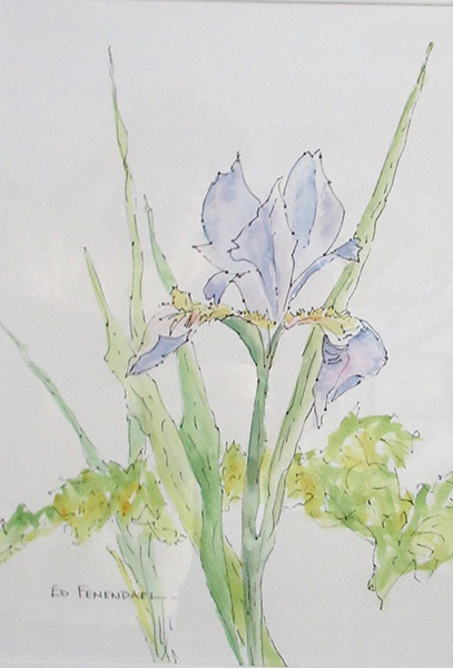 Iris Joy - watercolor