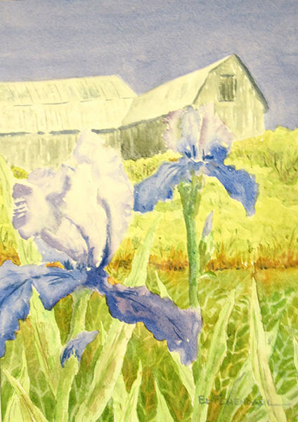 The Farmstead - watercolor